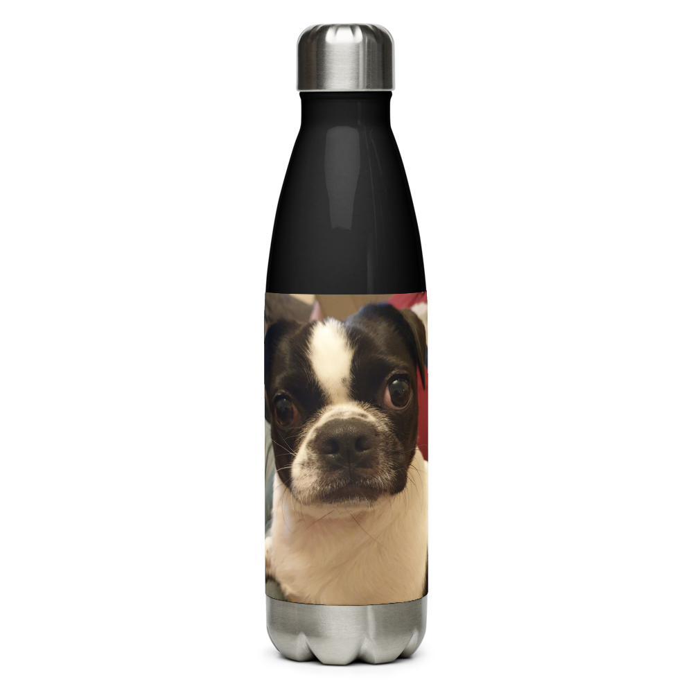 Stainless Steel Water Bottle