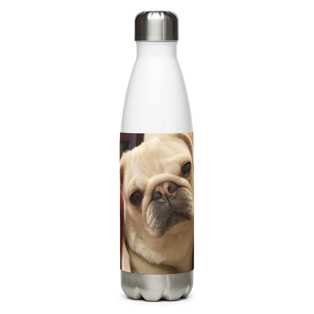 Stainless Steel Water Bottle