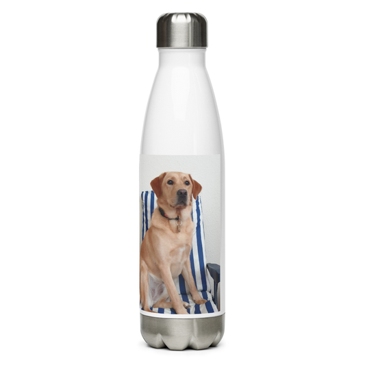 Stainless Steel Water Bottle