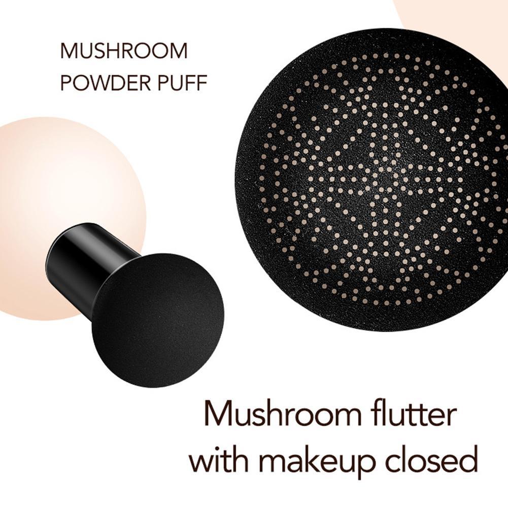 BB Cream Air Cushion Foundation - Moisturizing Concealer 15g