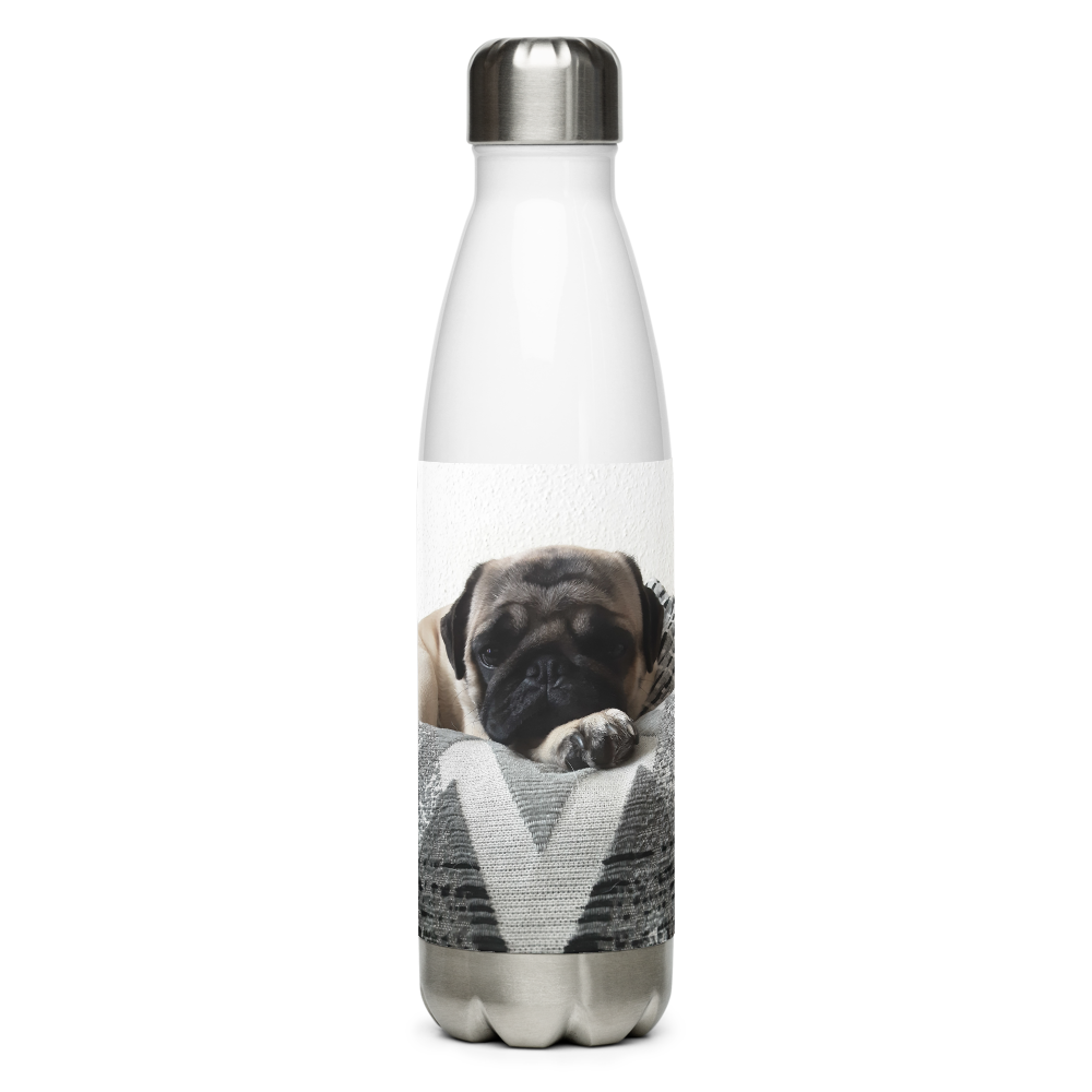 Stainless Steel Water Bottle
